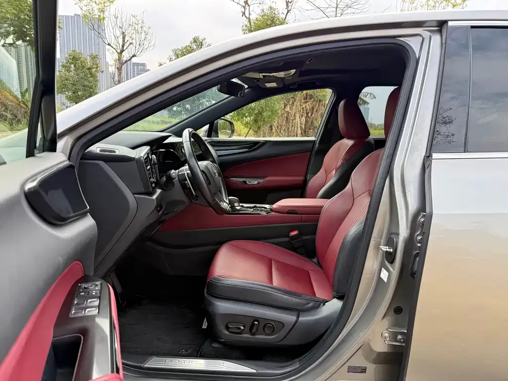 Lexus NX 2023 из CN, фото 3