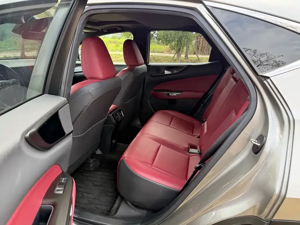 Lexus NX 2023 из CN, фото 7