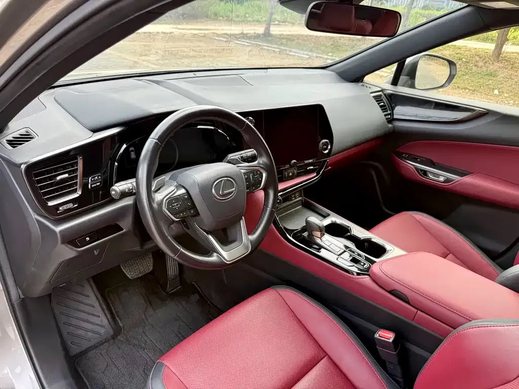 Lexus NX 2023 из CN, фото 2