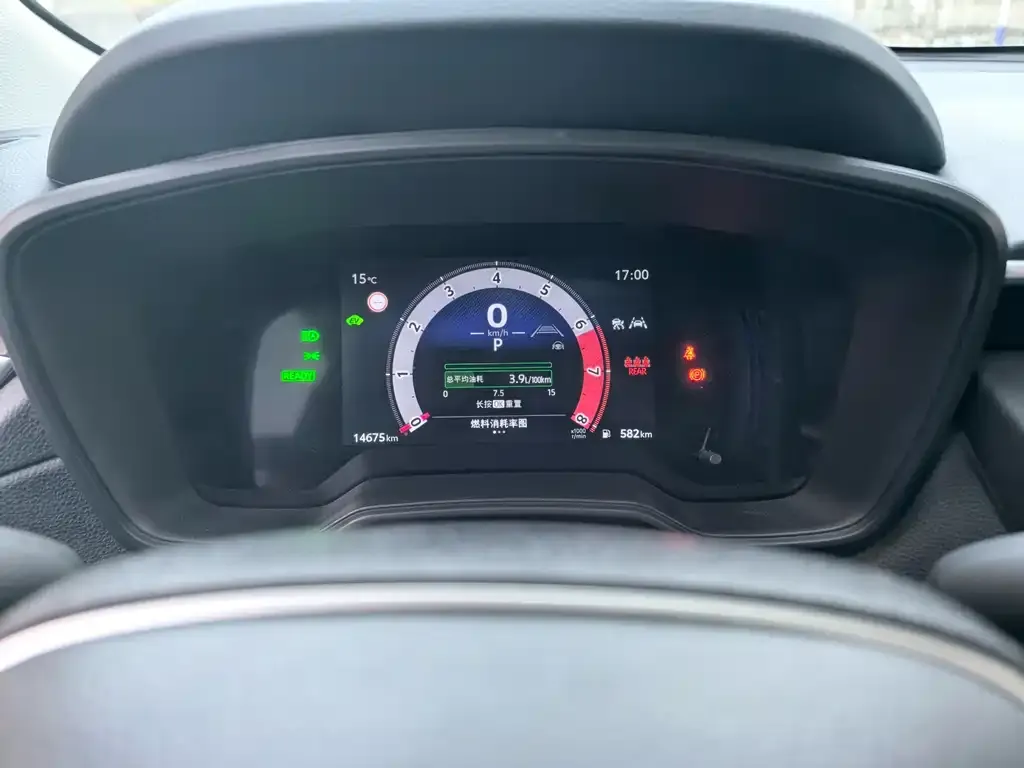 Toyota Frontlander 2024 из CN, фото 2