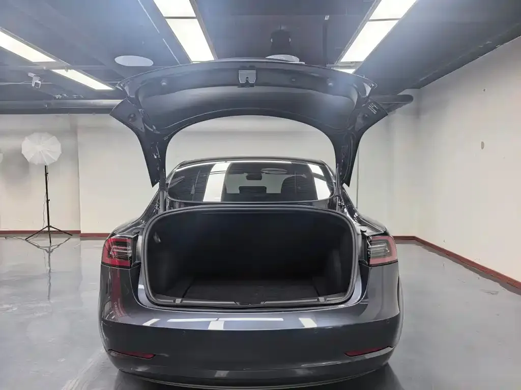 Tesla Model 3 2021 из CN, фото 2