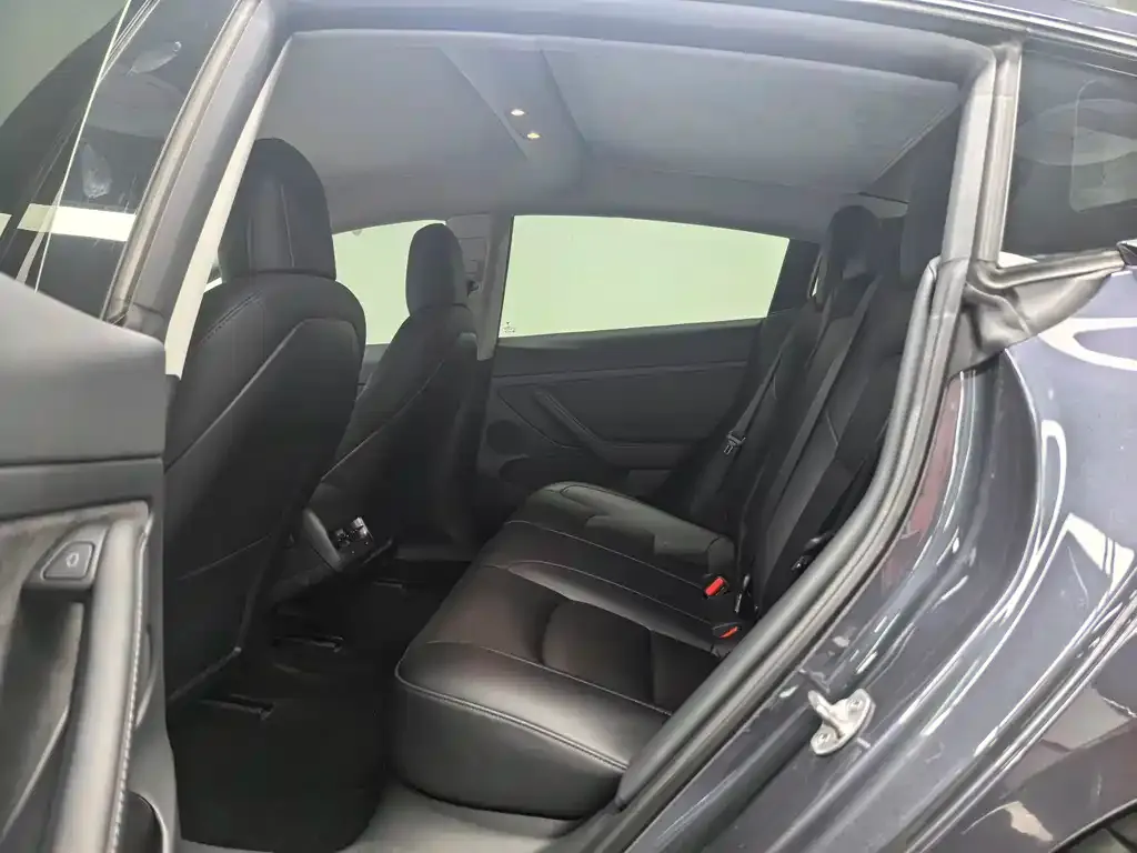 Tesla Model 3 2021 из CN, фото 5