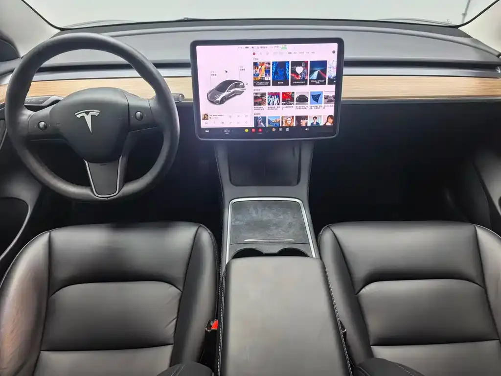 Tesla Model 3 2021 из CN, фото 6