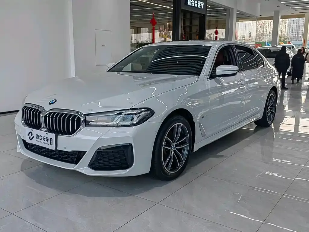 BMW 5 Series 2021 из CN, фото 1