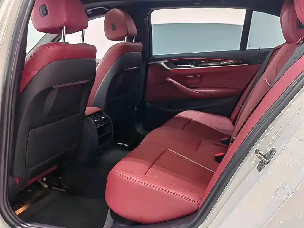 BMW 5 Series 2021 из CN, фото 2