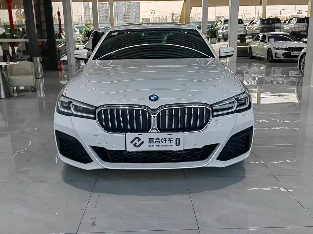 BMW 5 Series 2021 из CN, фото 7