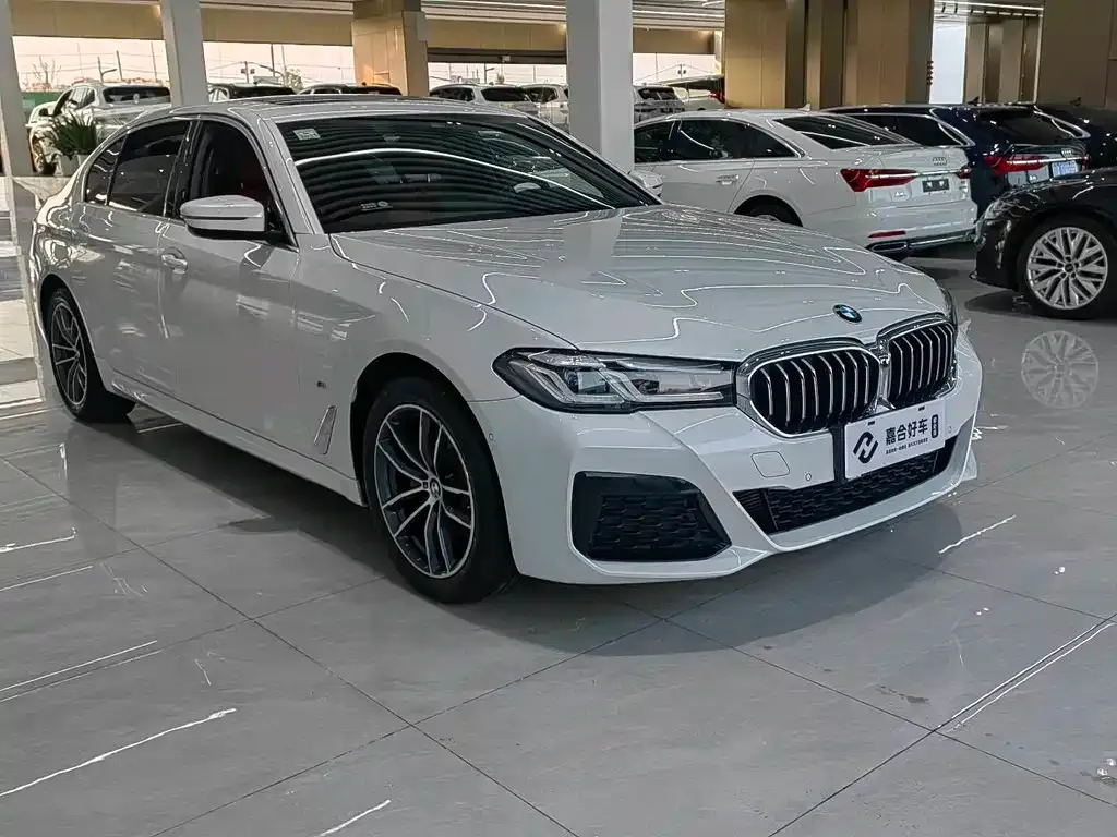 BMW 5 Series 2021 из CN, фото 8