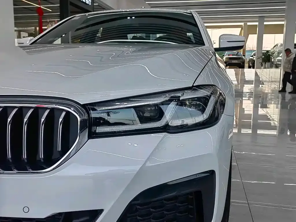 BMW 5 Series 2021 из CN, фото 6