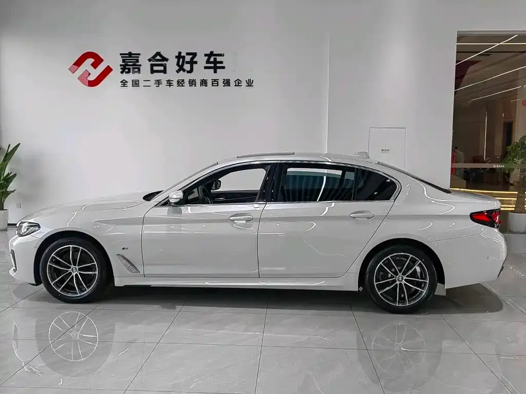 BMW 5 Series 2021 из CN, фото 4