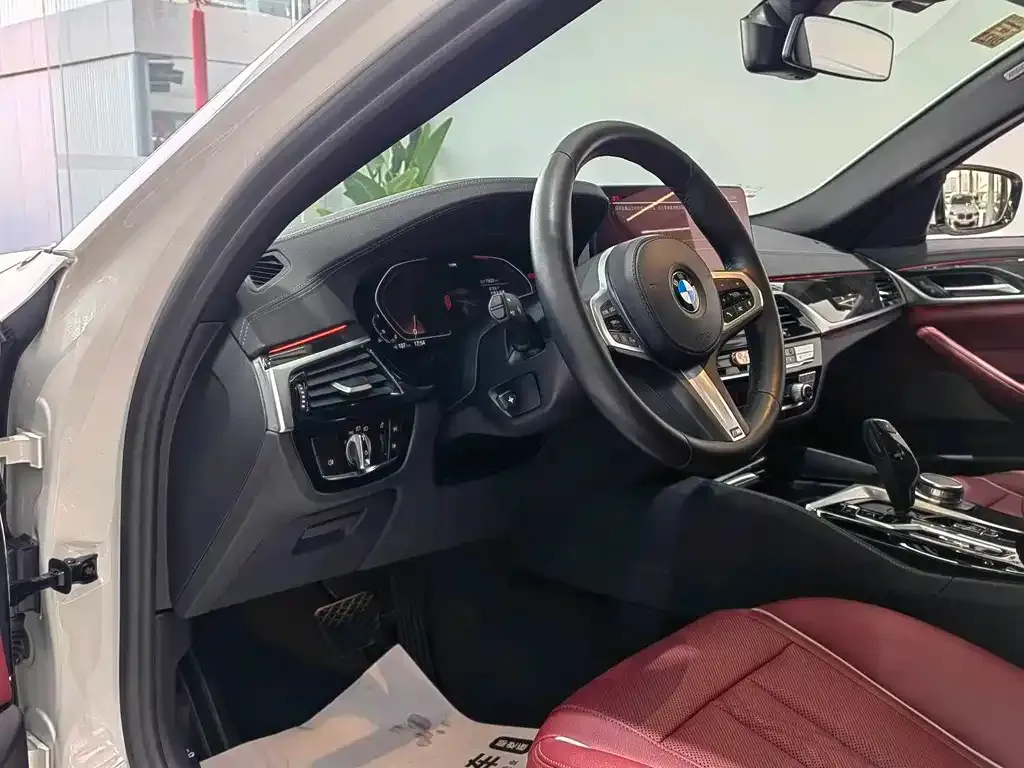 BMW 5 Series 2021 из CN, фото 5