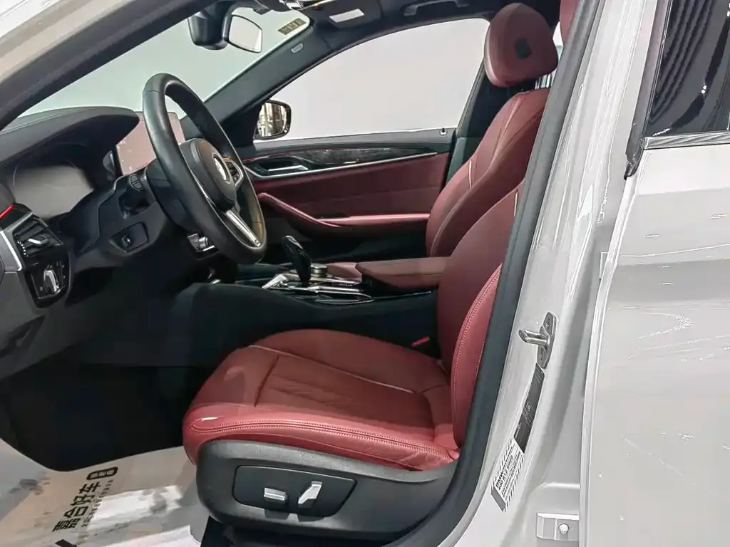 BMW 5 Series 2021 из CN, фото 9