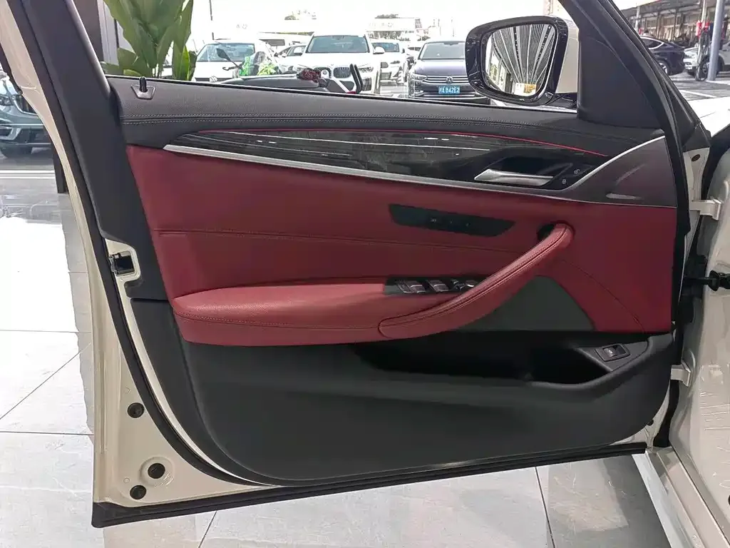 BMW 5 Series 2021 из CN, фото 10