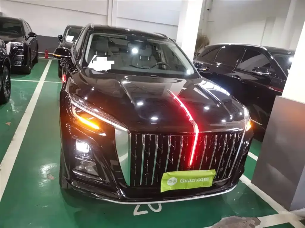Hongqi HS3 PHEV 2024 из CN, фото 8
