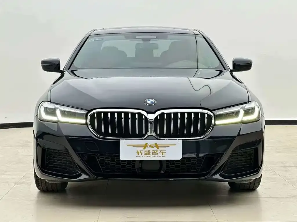 BMW 5 Series 2022 из CN, фото 2
