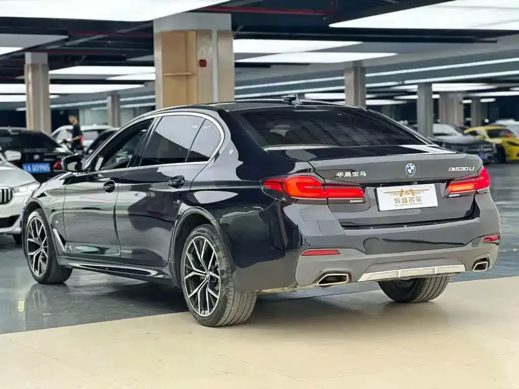 BMW 5 Series 2022 из CN, фото 4