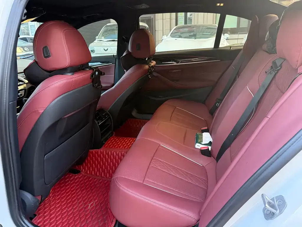 BMW 5 Series 2022 из CN, фото 3