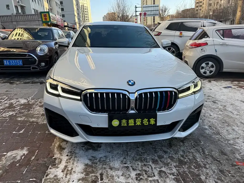 BMW 5 Series 2022 из CN, фото 4