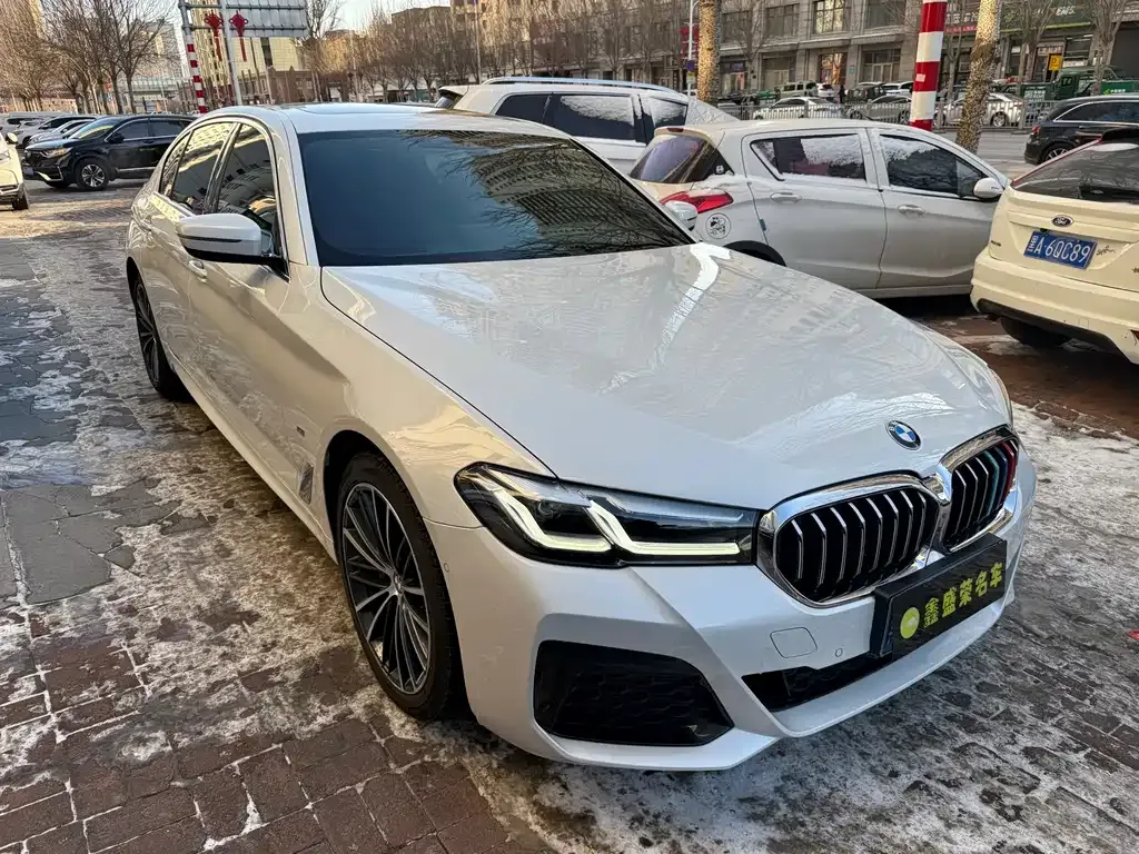 BMW 5 Series 2022 из CN, фото 8