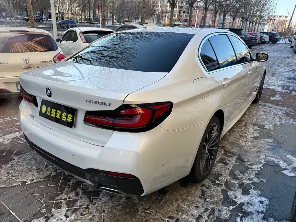 BMW 5 Series 2022 из CN, фото 7