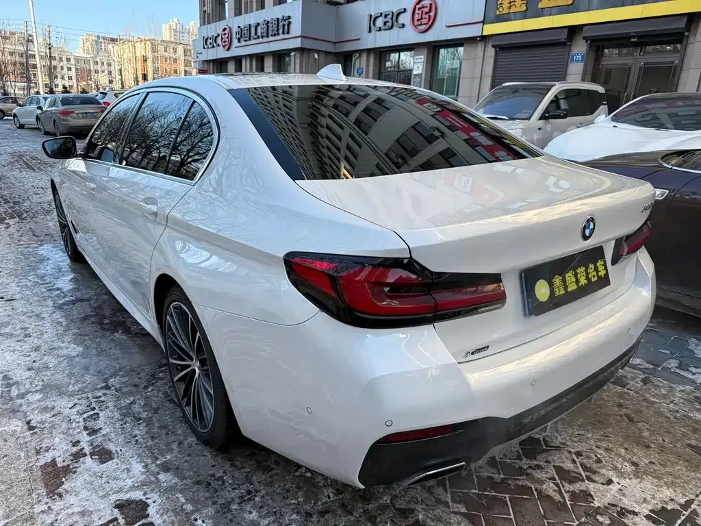 BMW 5 Series 2022 из CN, фото 9
