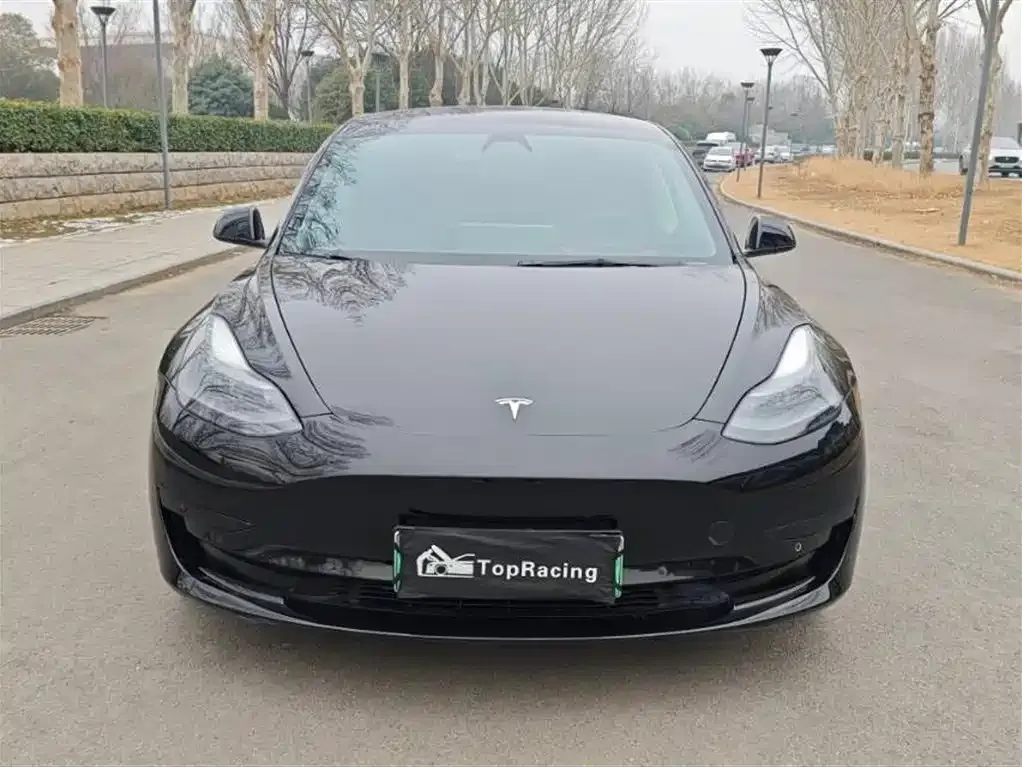 Tesla Model 3 2021 из CN, фото 4