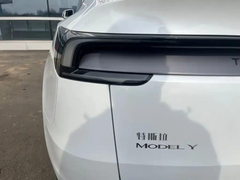 Tesla Model Y 2025 из CN, фото 6