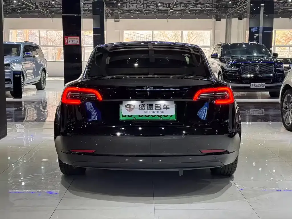 Tesla Model 3 2023 из CN, фото 7