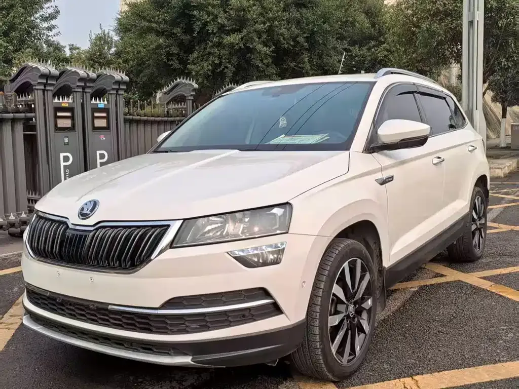 Skoda Karoq — фото 9