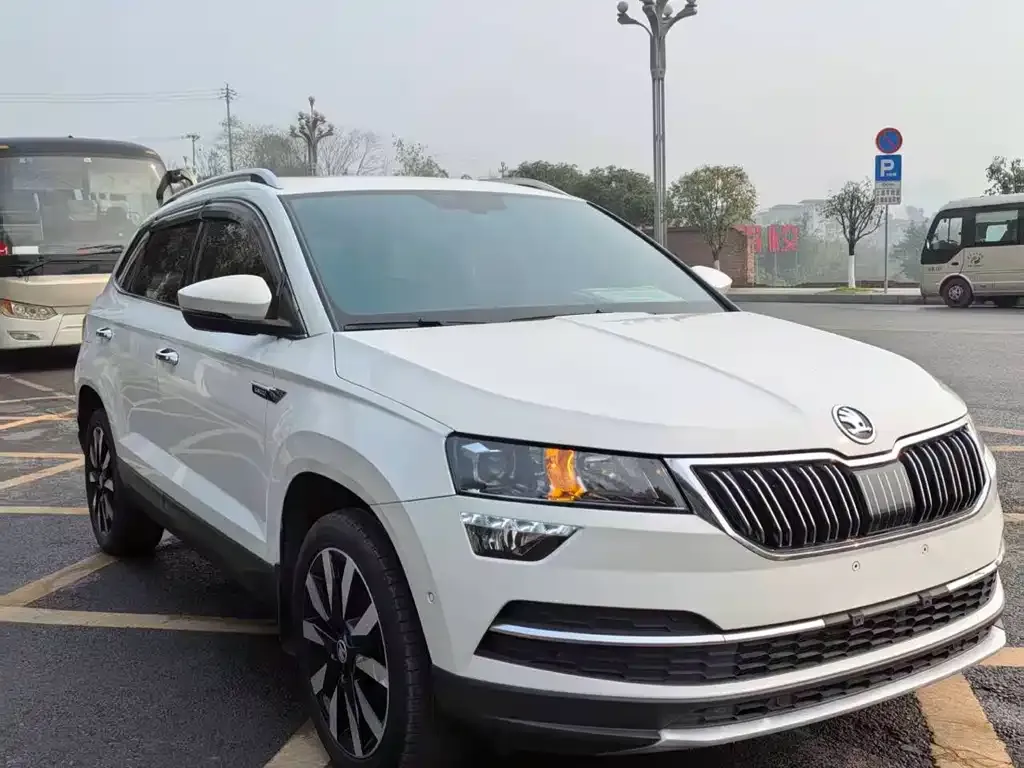 Skoda Karoq — фото 2