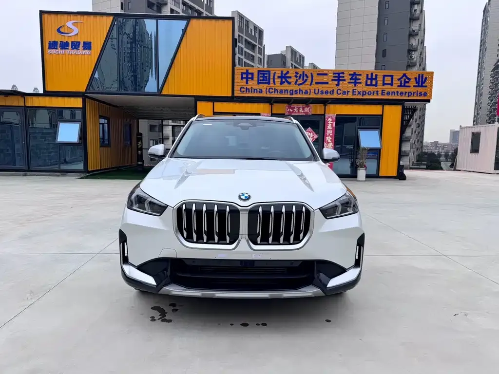 BMW X1 2023 из CN, фото 9