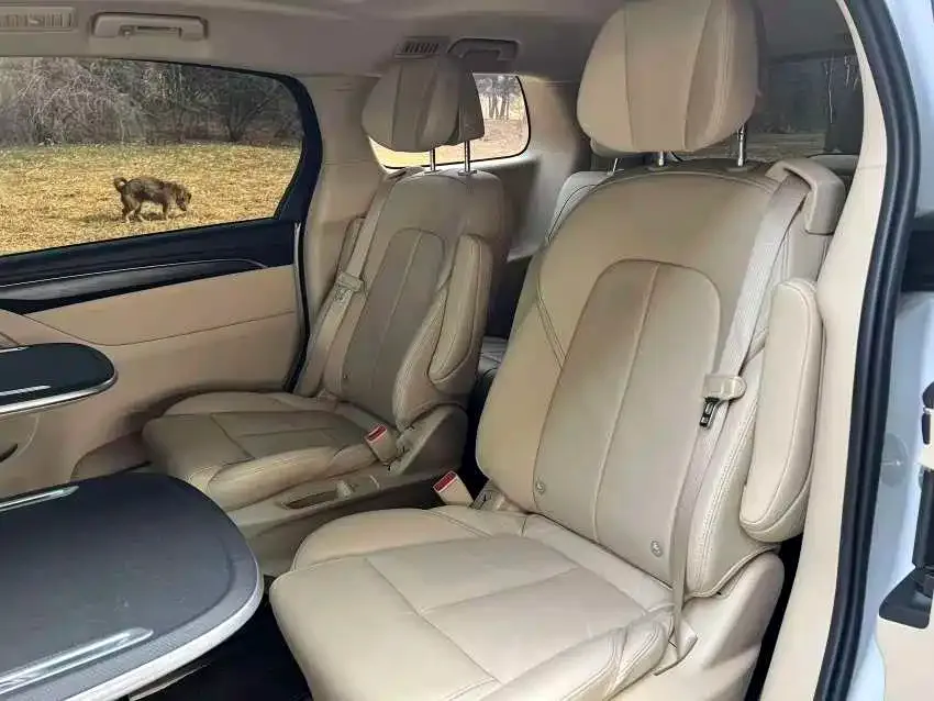 Buick GL8 2022 из CN, фото 6