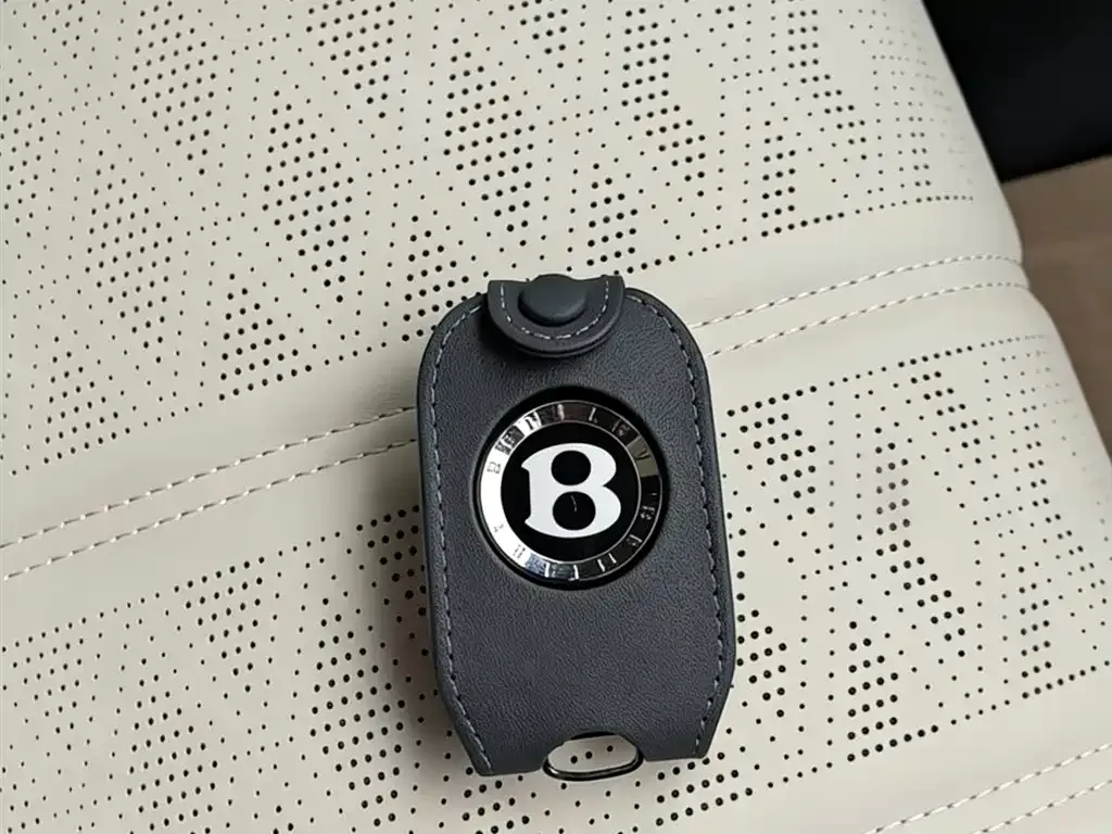 Bentley Continental PHEV 2025 из CN, фото 2