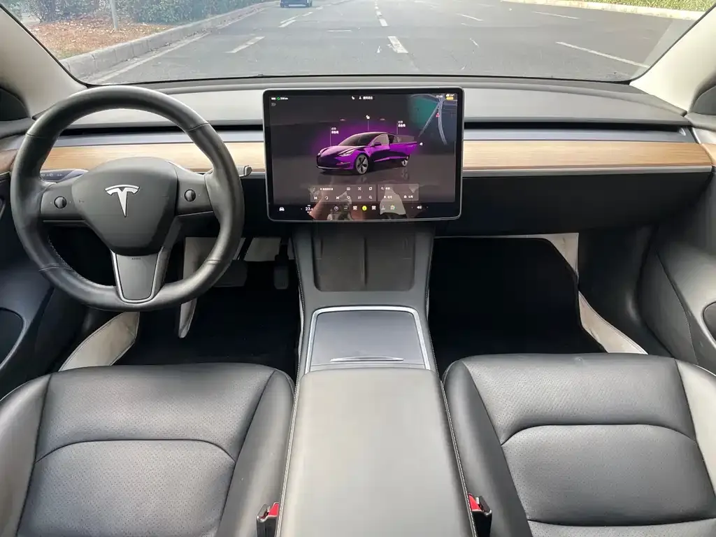 Tesla Model 3 2022 из CN, фото 2
