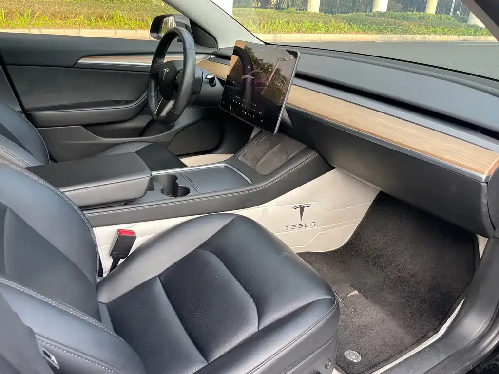 Tesla Model 3 2022 из CN, фото 3