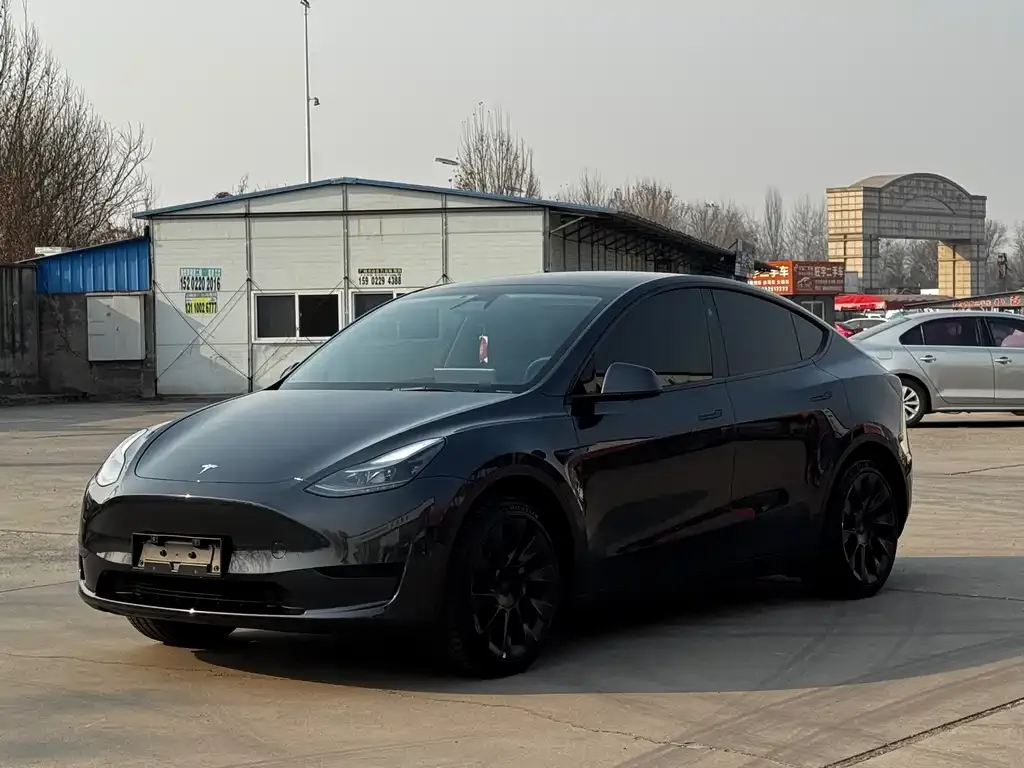 Tesla Model Y — фото 9