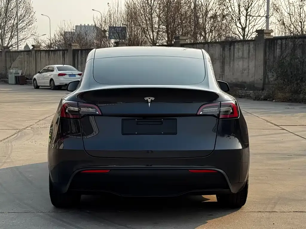Tesla Model Y — фото 10
