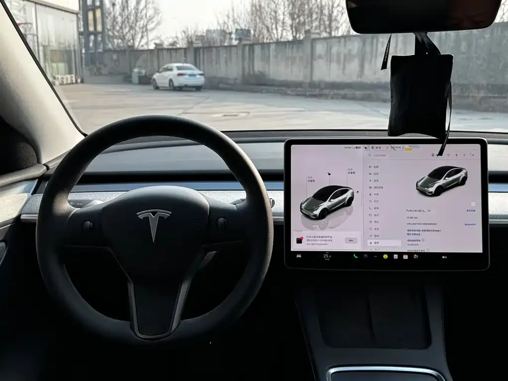 Tesla Model Y — фото 2
