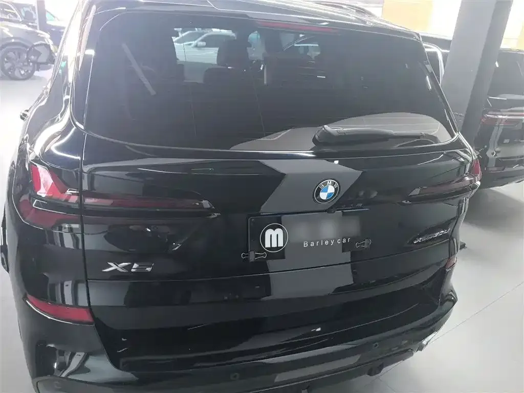BMW X5 2025 из CN, фото 6