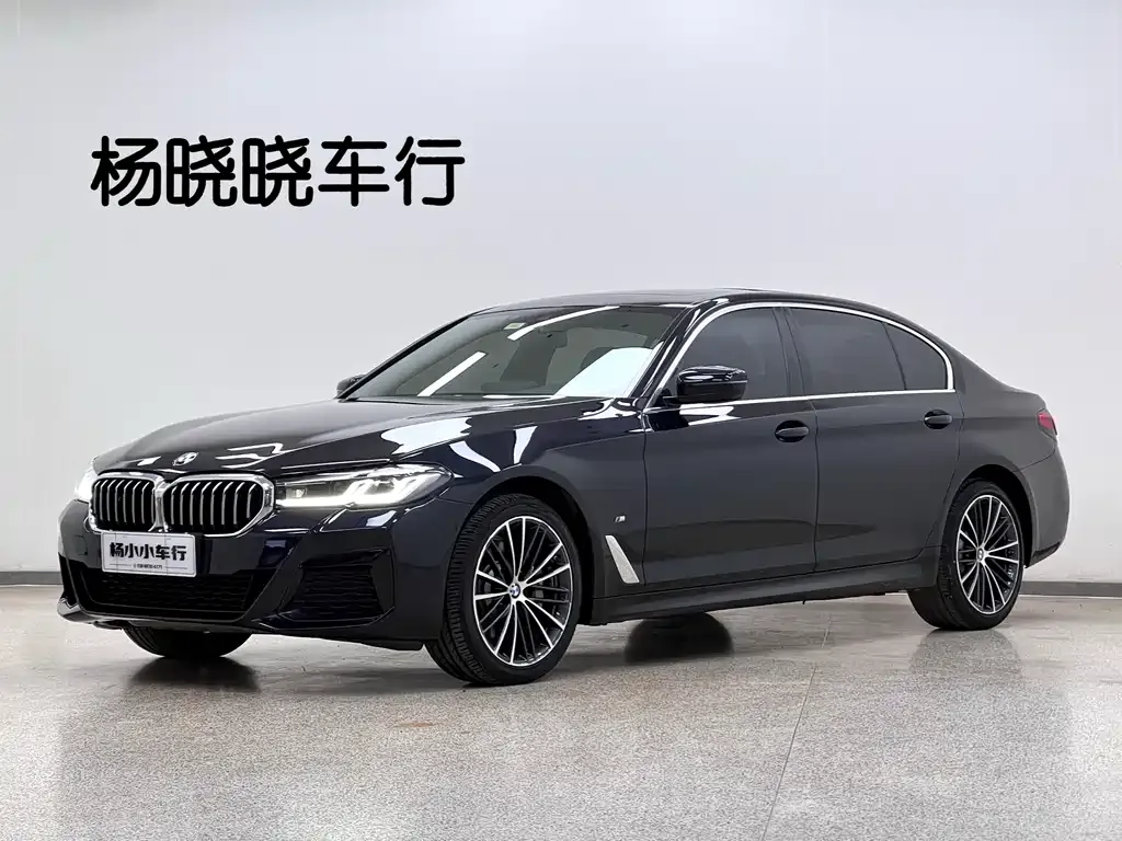 BMW 5 Series 2021 из CN, фото 1