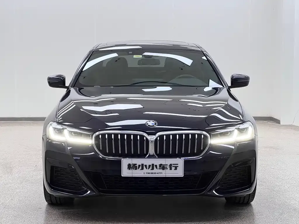 BMW 5 Series 2021 из CN, фото 3