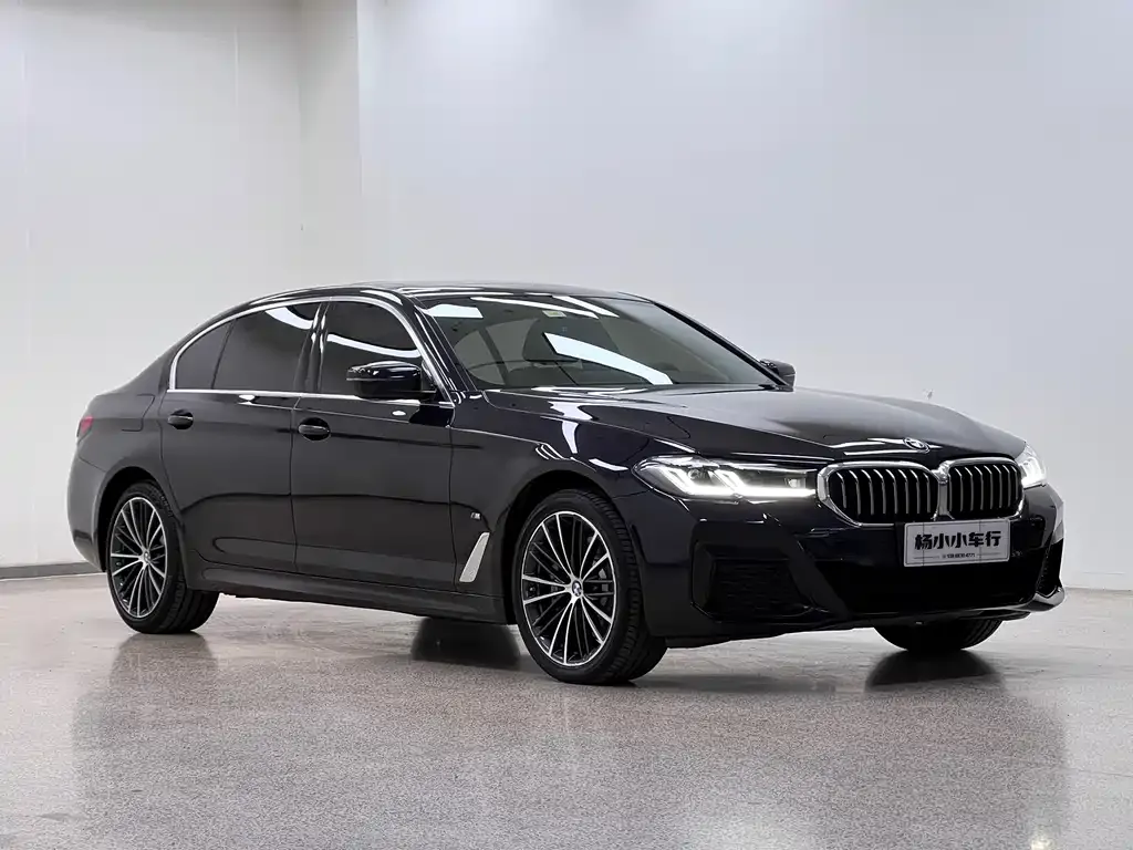 BMW 5 Series 2021 из CN, фото 9