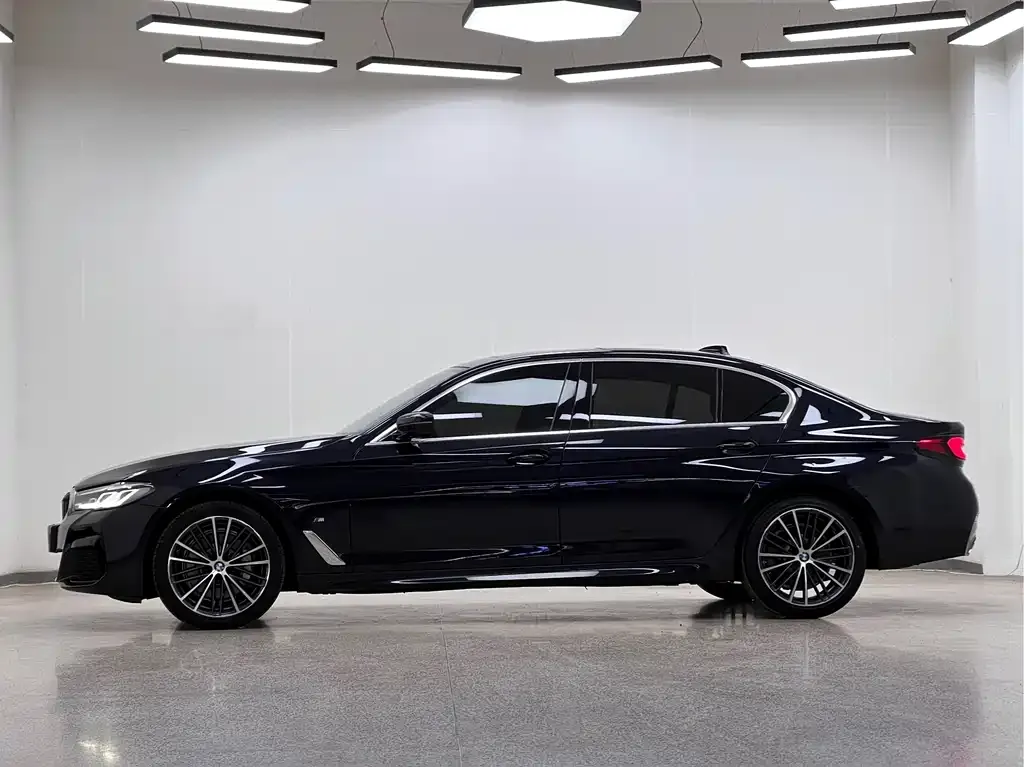 BMW 5 Series 2021 из CN, фото 2