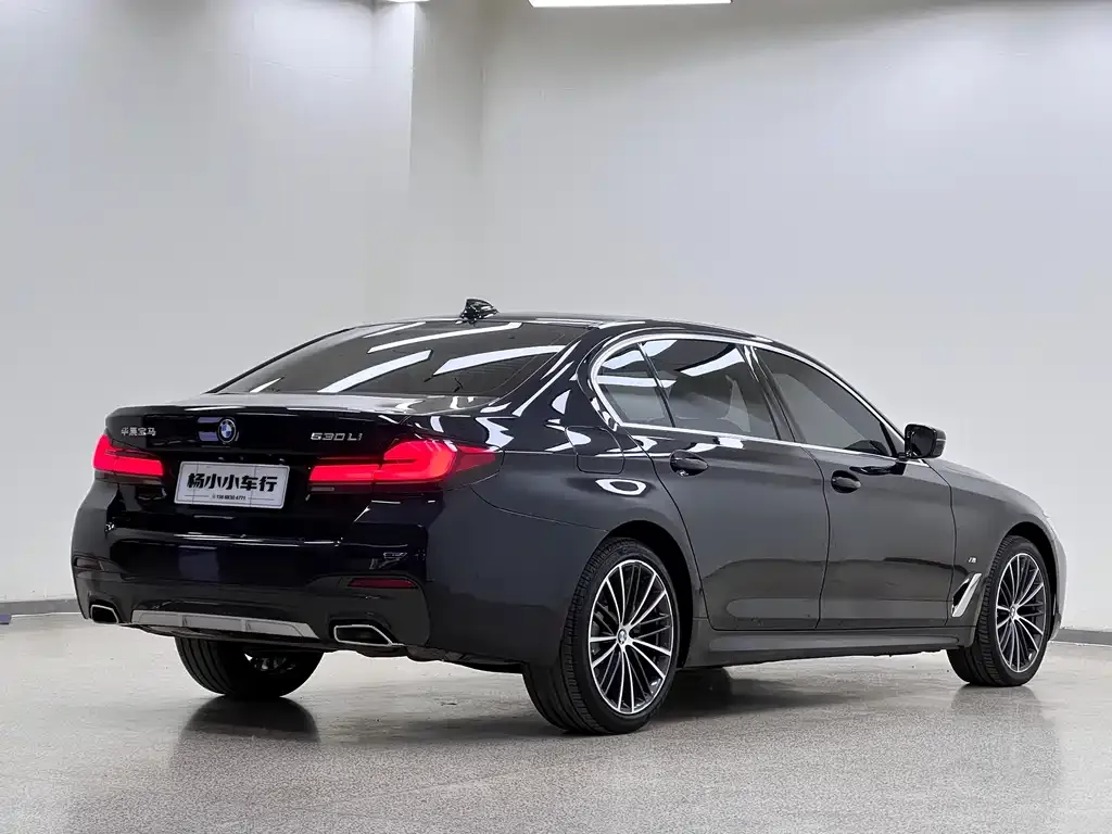 BMW 5 Series 2021 из CN, фото 7