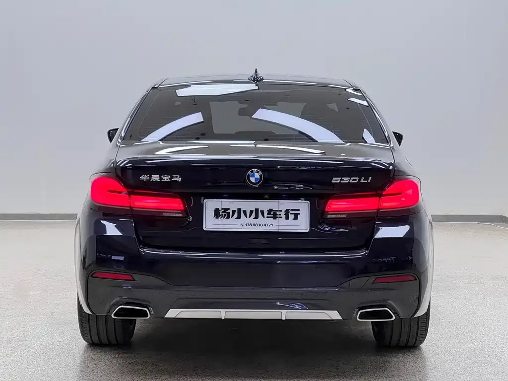 BMW 5 Series 2021 из CN, фото 6