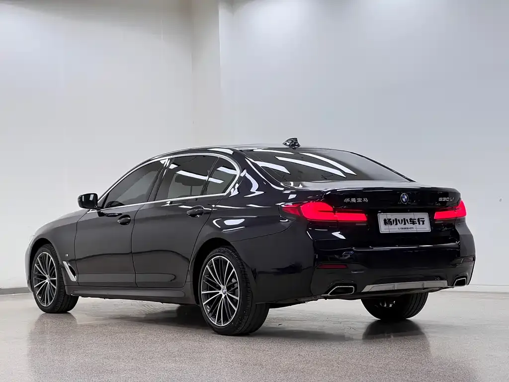 BMW 5 Series 2021 из CN, фото 8