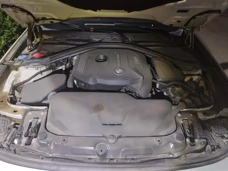 BMW 3 Series GT 2021 из CN, фото 5