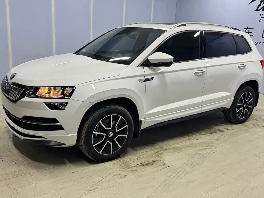 Skoda Karoq 2022 из CN, фото 1