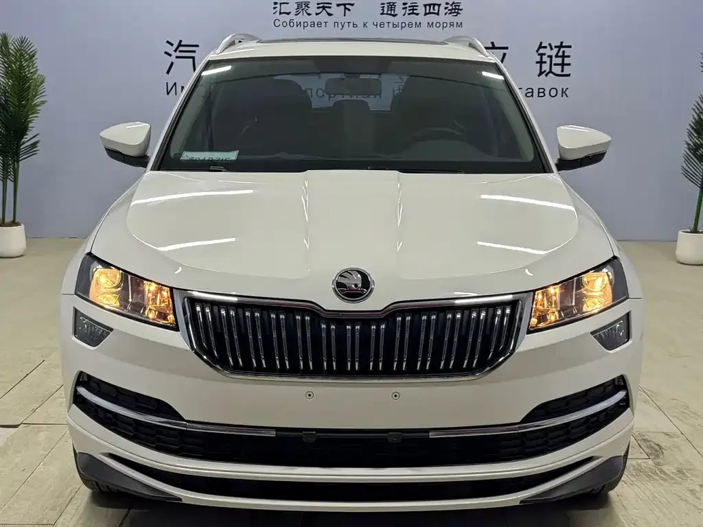 Skoda Karoq 2022 из CN, фото 10