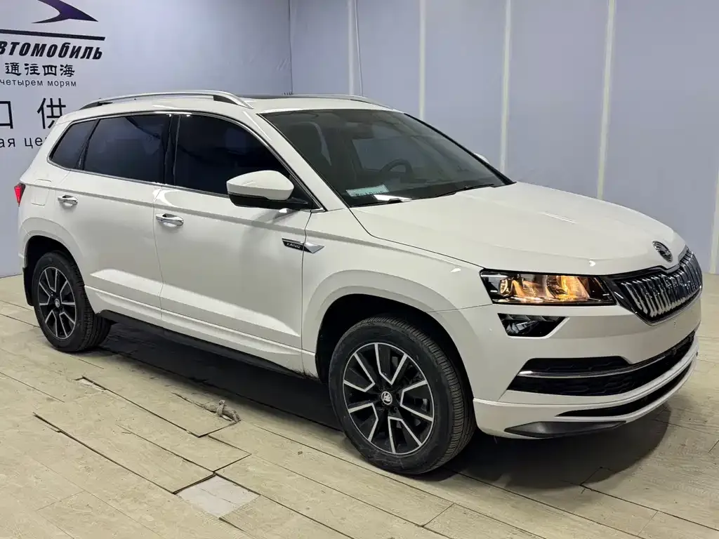 Skoda Karoq 2022 из CN, фото 4