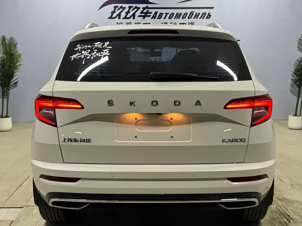 Skoda Karoq 2022 из CN, фото 7